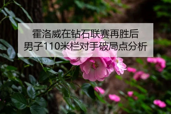 霍洛威在钻石联赛再胜后 男子110米栏对手破局点分析